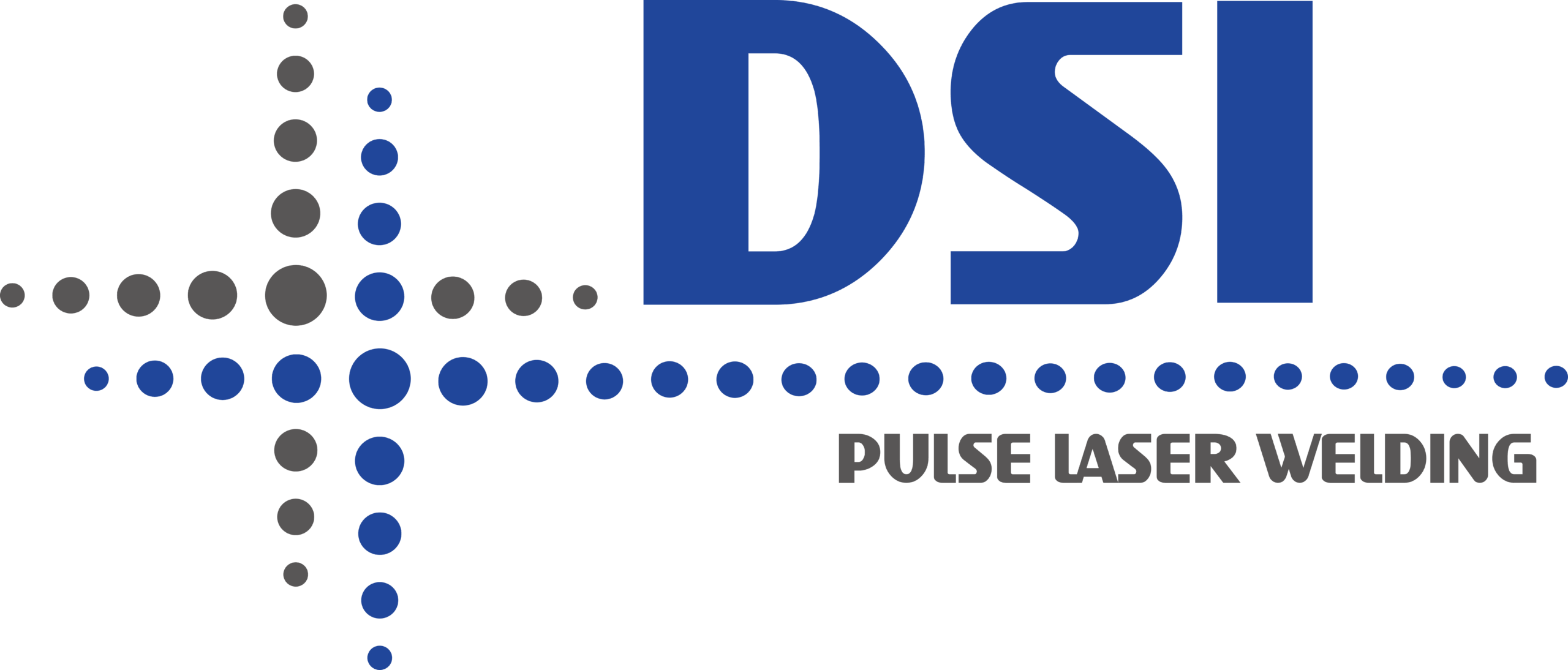 DSI-Logo-official-pdf-2-3